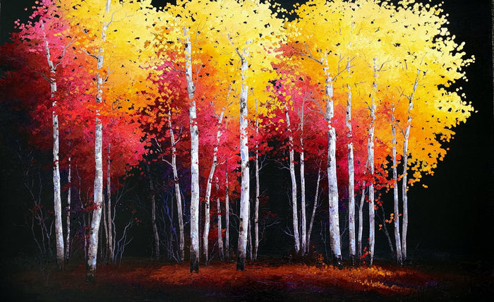 Colored Shadows