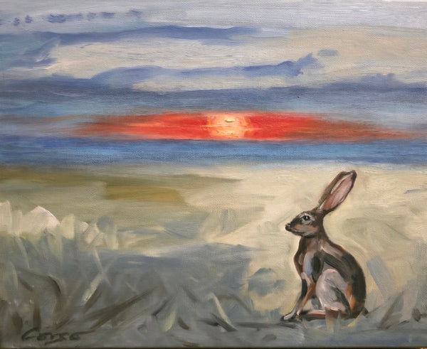 First Light