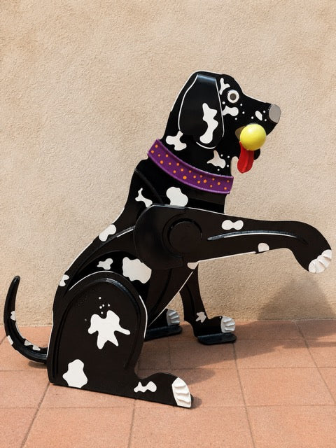 Big Dog