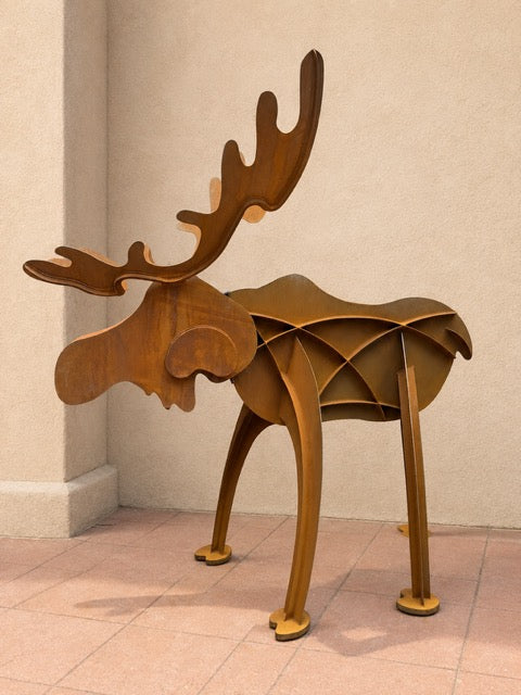 Baby Moose