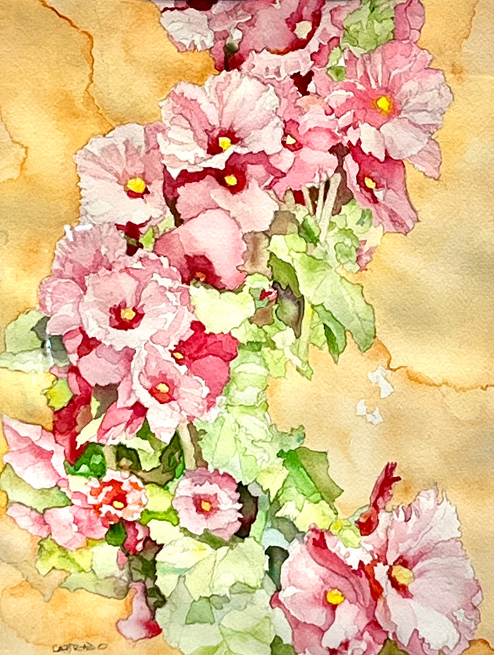 Streaming Hollyhocks