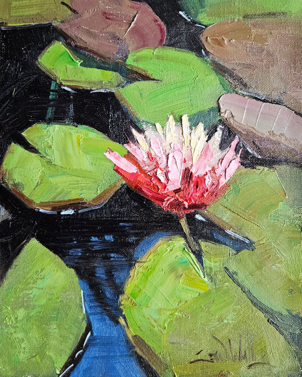 The Lone Lily