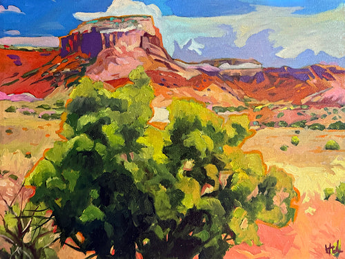 Sedona View