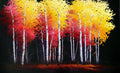 Colored Shadows by Amy Everhart