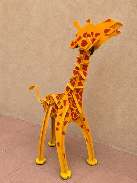 Baby Giraffe
