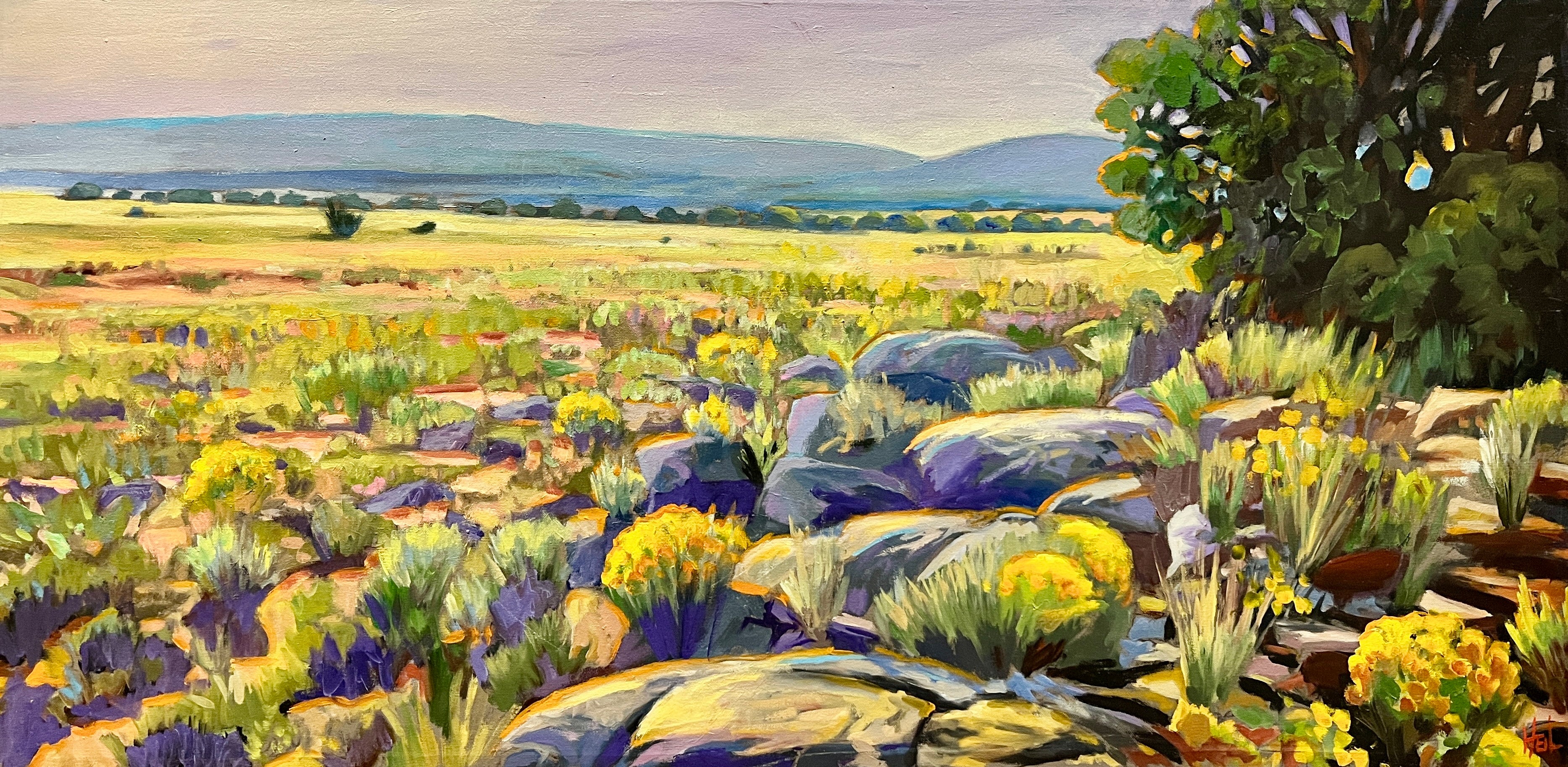 Greg Heil - High Desert New Mexico
