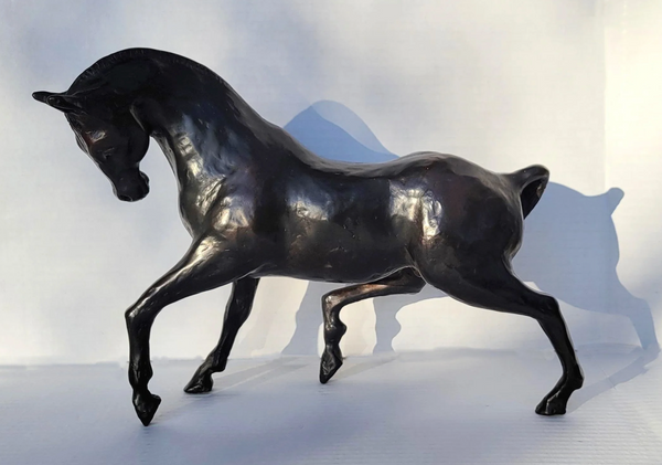 Arabian Stallion