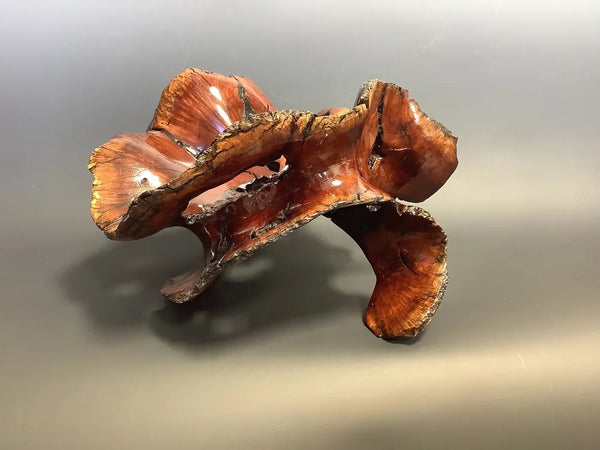 Manzanita Sculpture