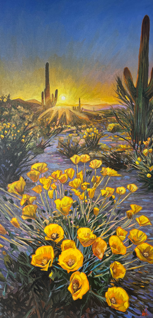 Poppy Sunrise