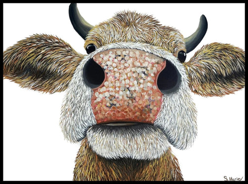 Howdy