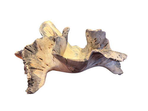 Buckeye Burl