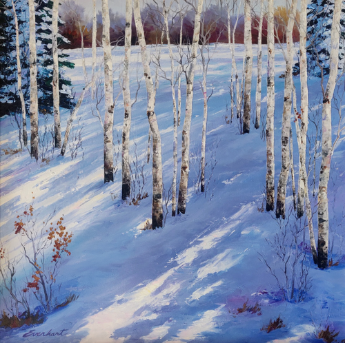 Winter Shadows