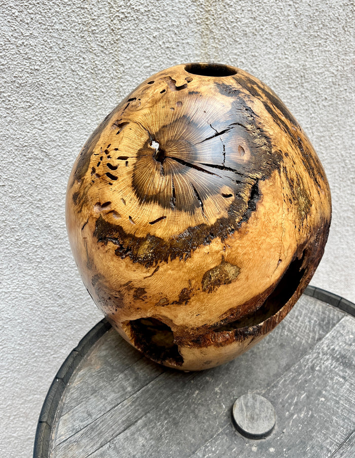 Oak Vessel #1292