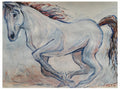 Antony Corso - Camargue Horse
