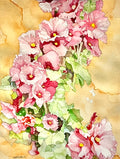 Rene Labrado - Streaming Hollyhocks