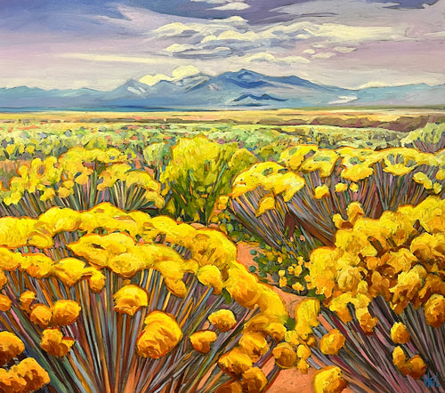 View To Taos