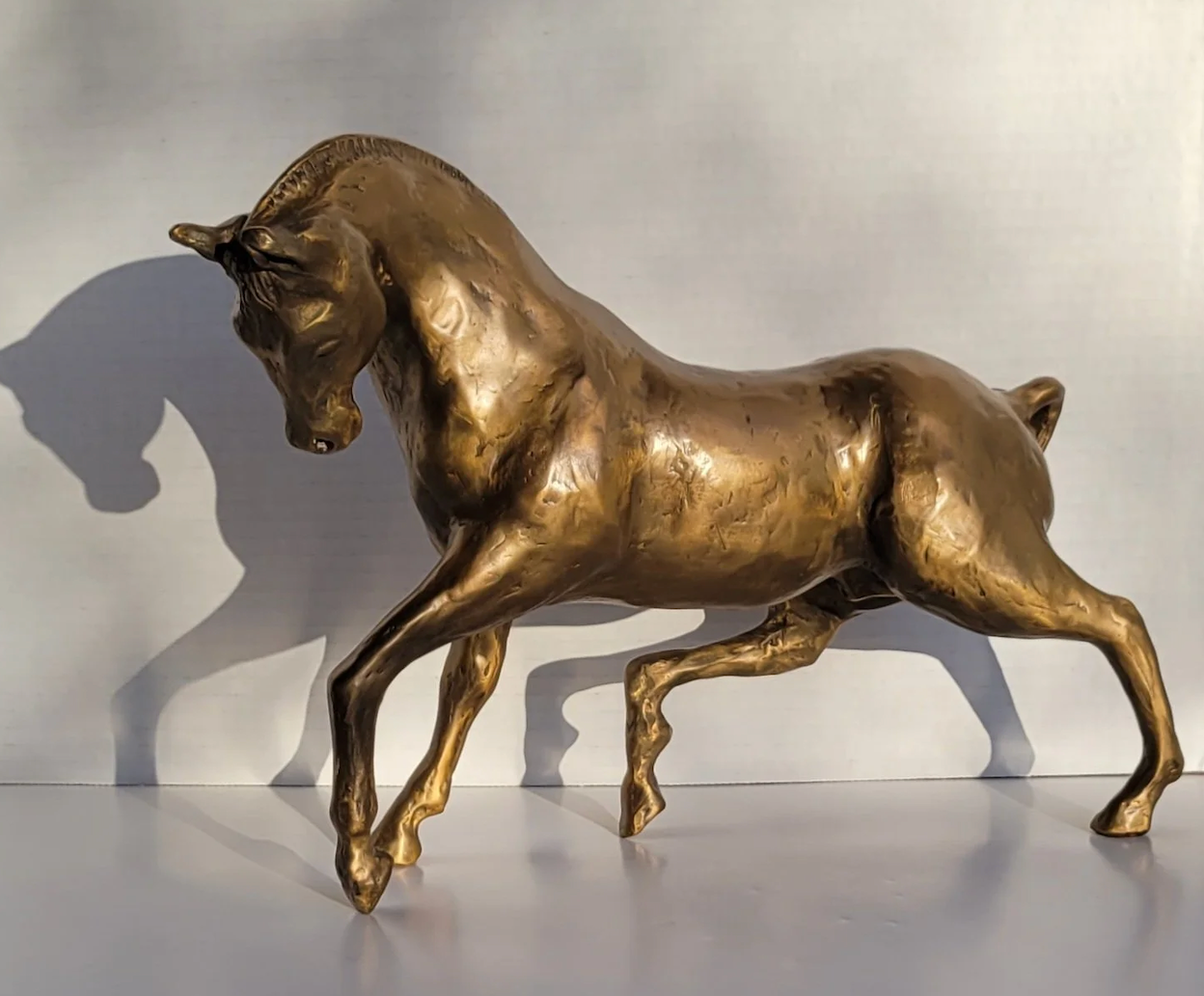Antony Corso - Arabian Stallion