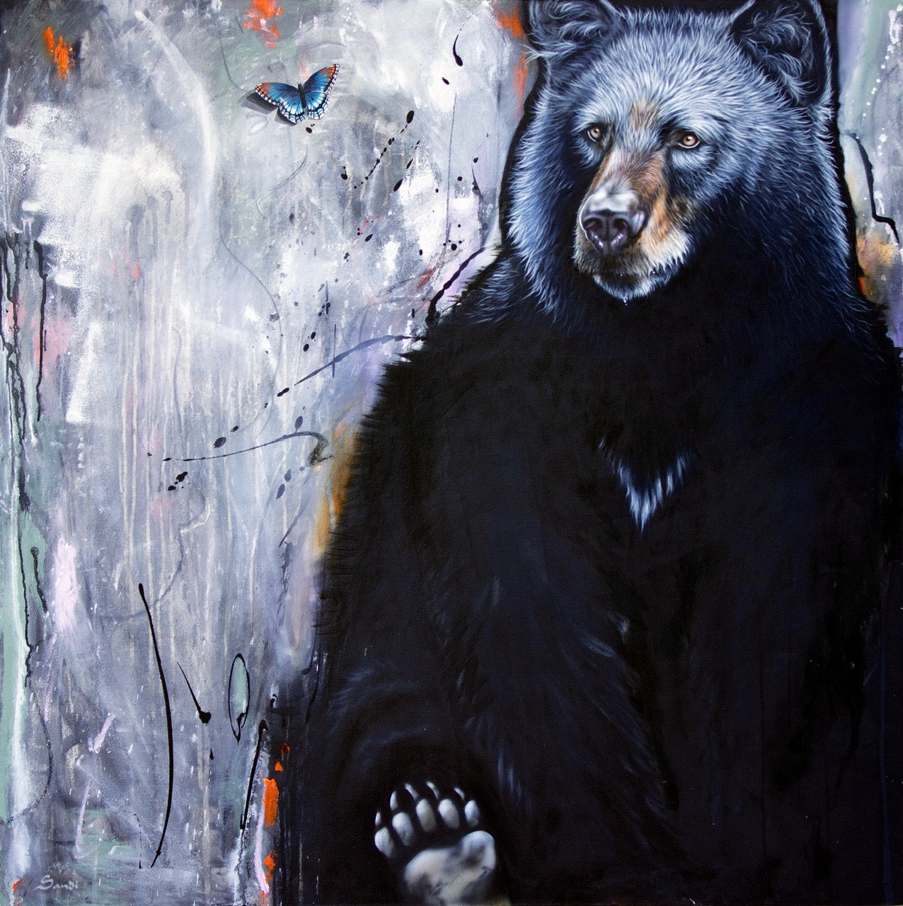 Sandi Baker - Schrodinger's Butterfly