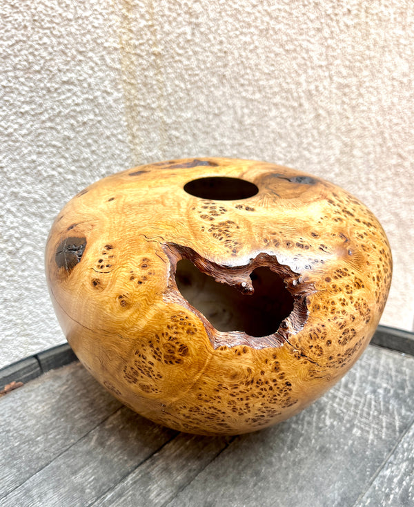 Oak Vessel #1256