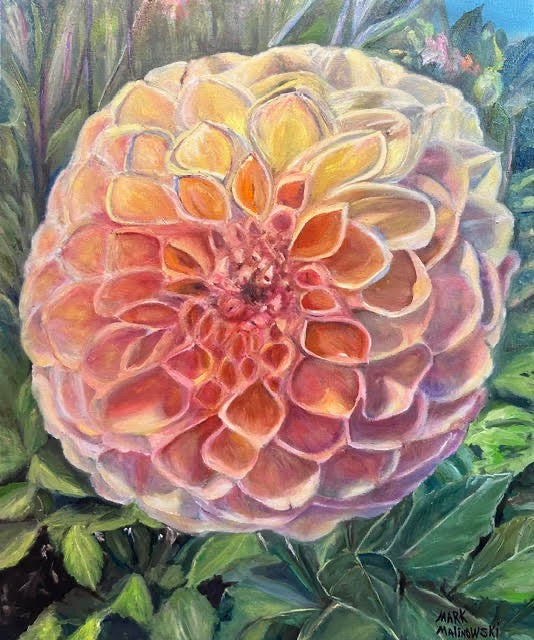 Mark Malinowski - Dahlia Closeup