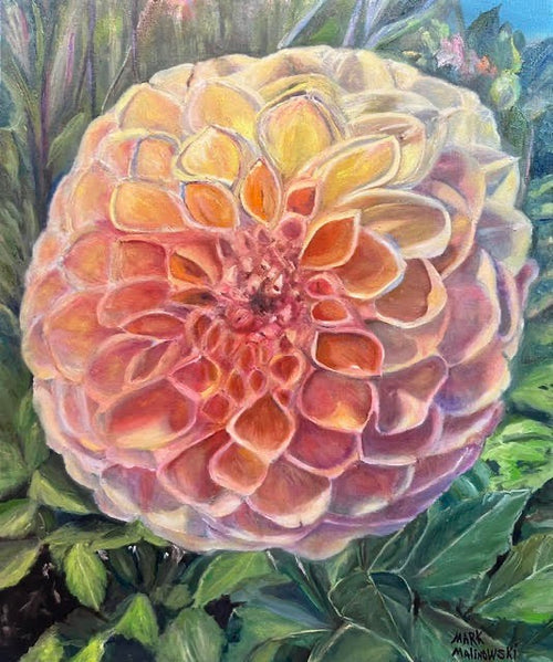 Dahlia Closeup