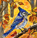 Andrea Cruz - A Feathered Pause in the Pines