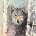 Wayne Kerr - Fire & Ice