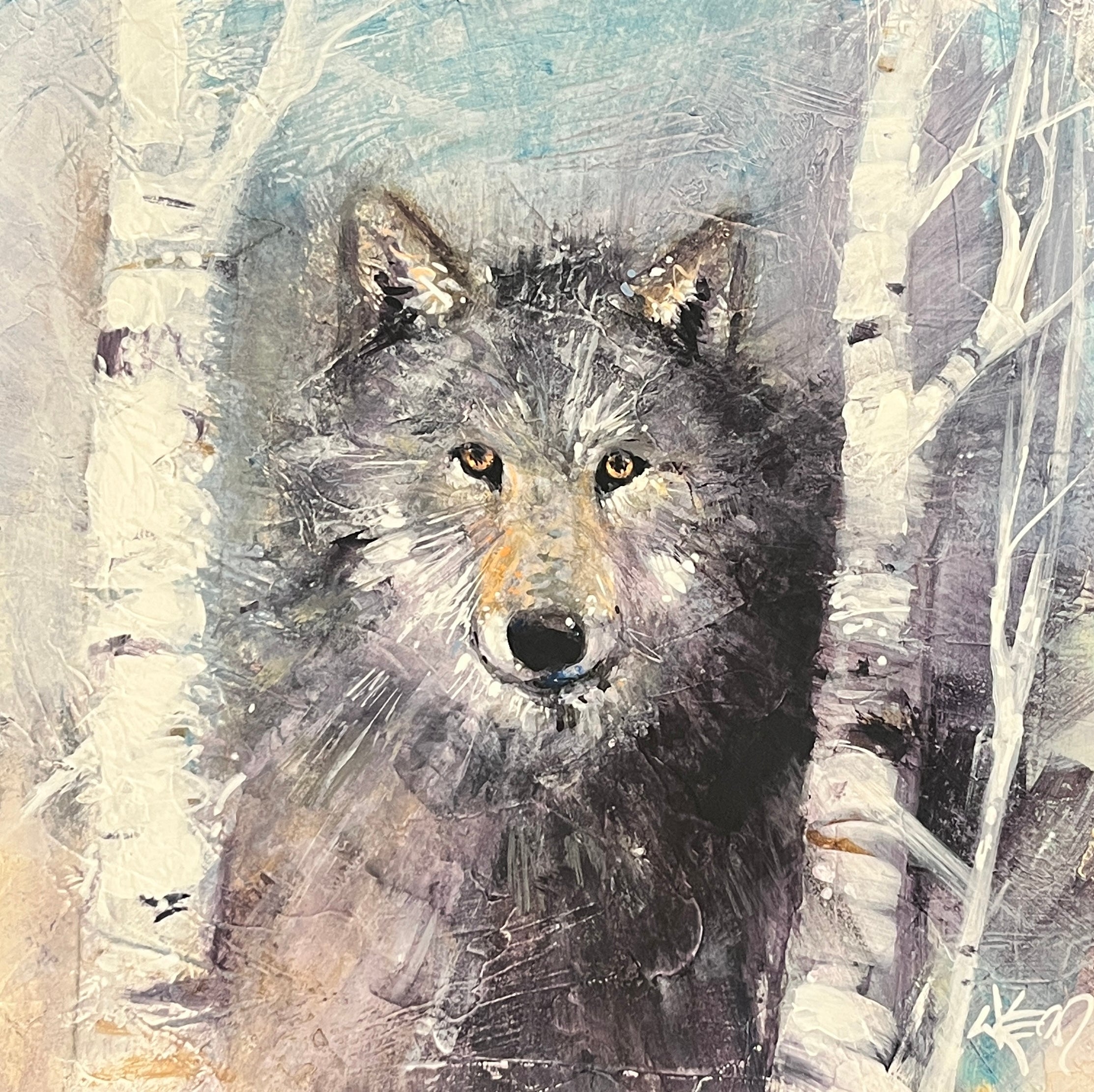 Wayne Kerr - Fire & Ice