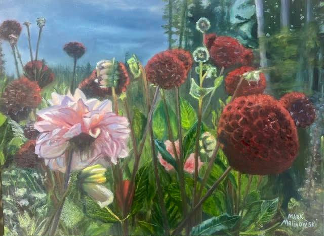 Mark Malinowski - Field of Dahlias