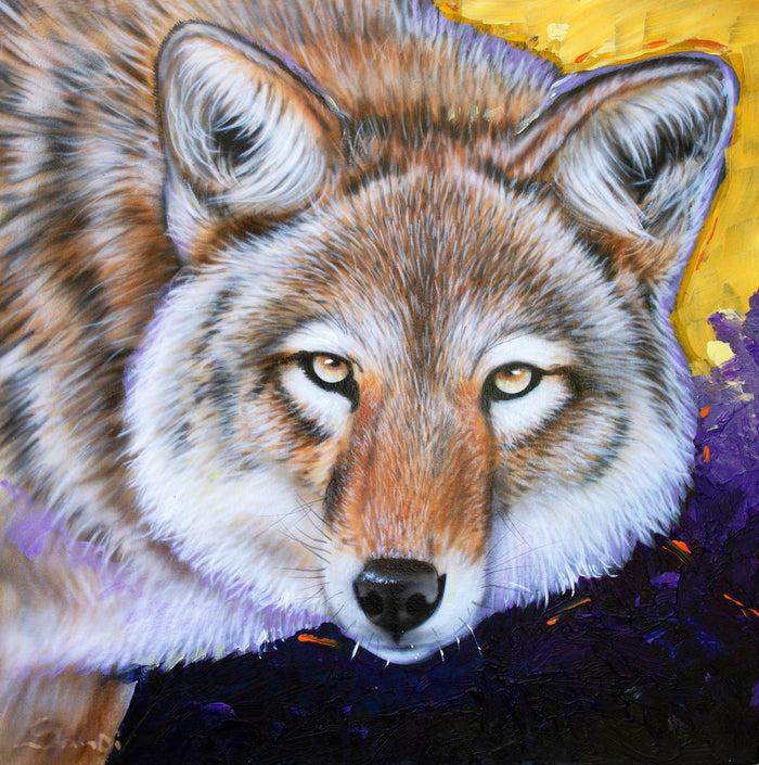 Desert Spirit - Coyote